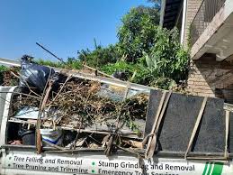 Best Shed Removal  in Coalgate, OK